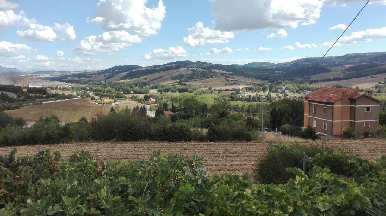 فيلا Agriturismo Cerquaglia تودي المظهر الخارجي الصورة