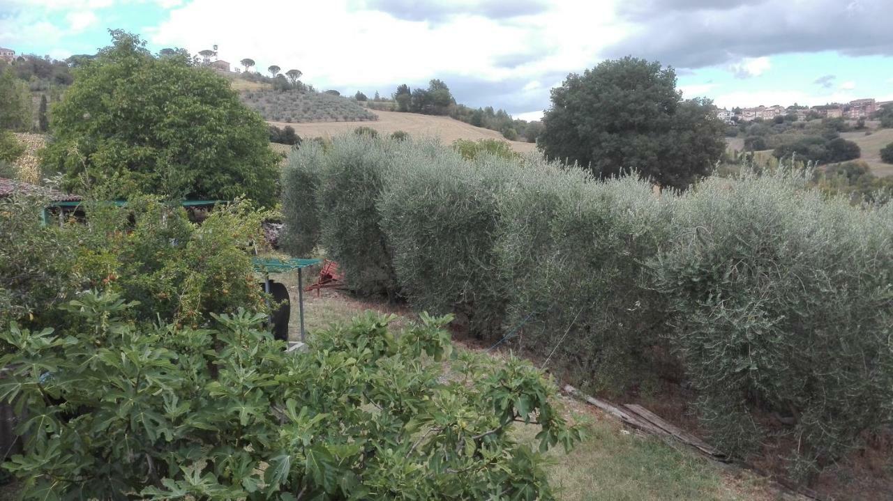 فيلا Agriturismo Cerquaglia تودي المظهر الخارجي الصورة