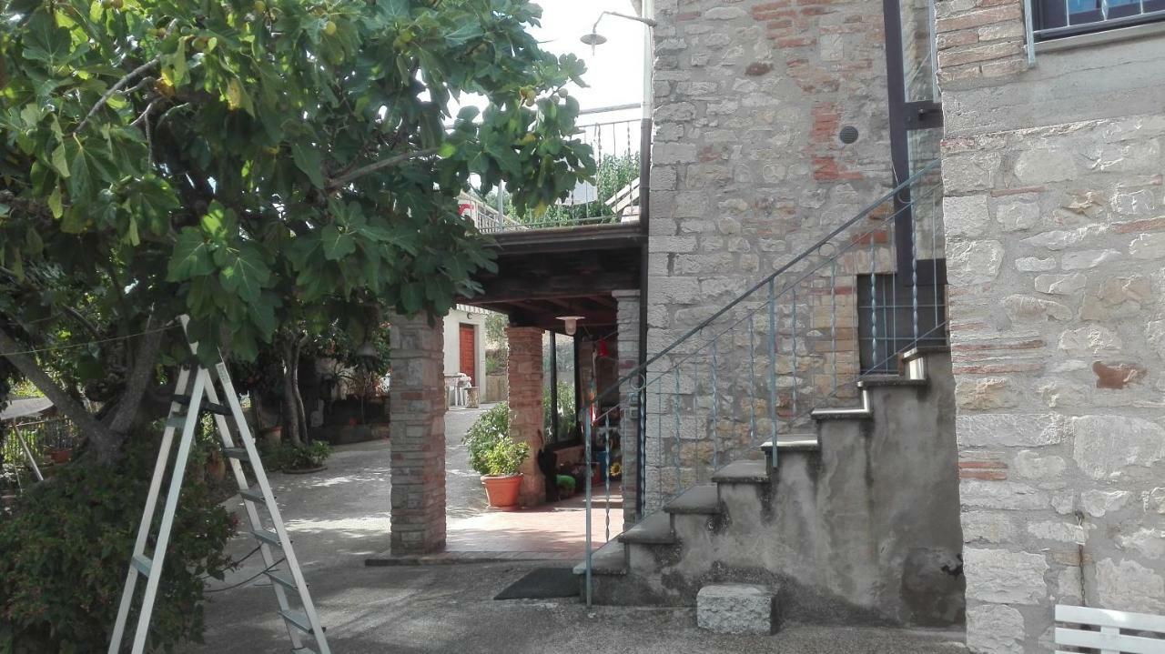 فيلا Agriturismo Cerquaglia تودي المظهر الخارجي الصورة